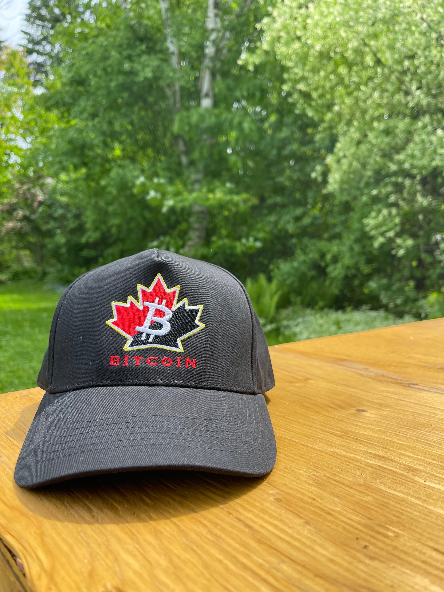 Team Bitcoin Canada & USA Snapback Embroidered Hats